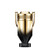 PACO RABANNE INVICTUS ELIXIR 6.7 PARFUM SPRAY FOR MEN