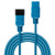 Lindy 2m IEC C19 to C20 Extension Cable, Blue