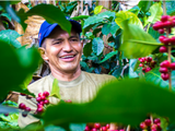 ​Columbian Coffee Farming (& introducing our awesome Columbian SR, Micro Lot, La Jacoba beans)