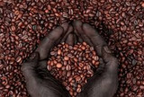 What Is So Special About Ethiopian Coffee?