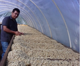 Meet Nelson Soza, Coffee Producer