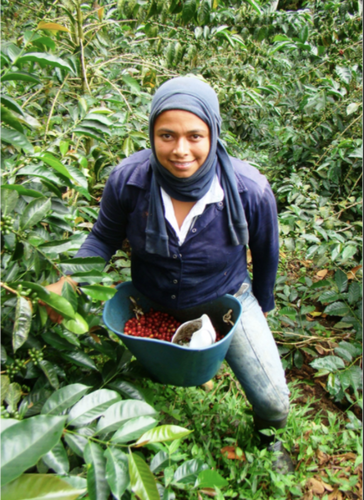 A Womens Coffee Co-Op in Columbia