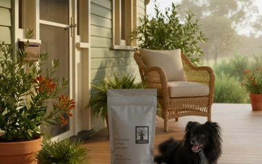 How to Get Good Coffee Delivered to Your Door in Australia