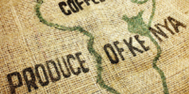 Kenyan Coffee – The Best in the World?