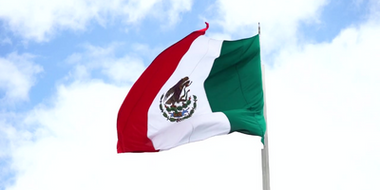 Organic Coffee Farming in Mexico