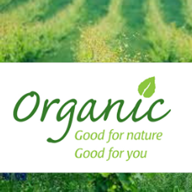 7 Reasons to Choose Organic Coffee