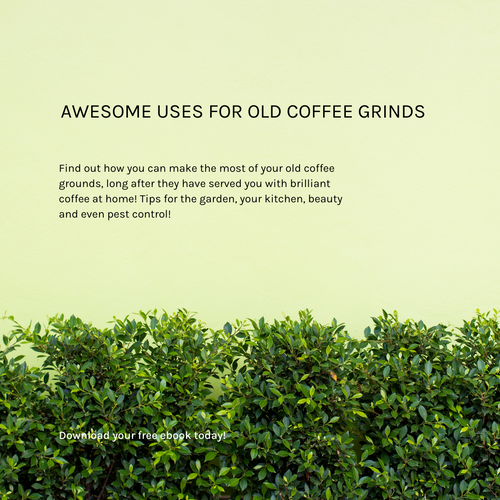 11 Awesome Uses for Old Coffee Grounds 11 Awesome Uses for Old Coffee Grounds