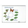 Giant Magnetic Butterfly Life Cycle, Set of 9