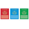 Passports Classic Accents® Variety Pack, 36 ct