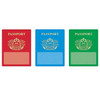 Passports Classic Accents® Variety Pack, 36 Per Pack, 3 Packs