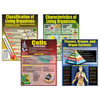 Living Organisms Posters, Set of 4