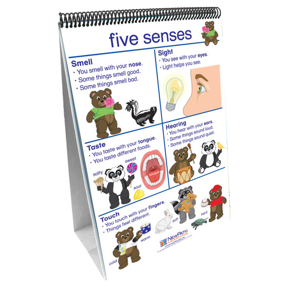 Early Childhood Science Readiness Flip Chart, All About Me - NP-340027