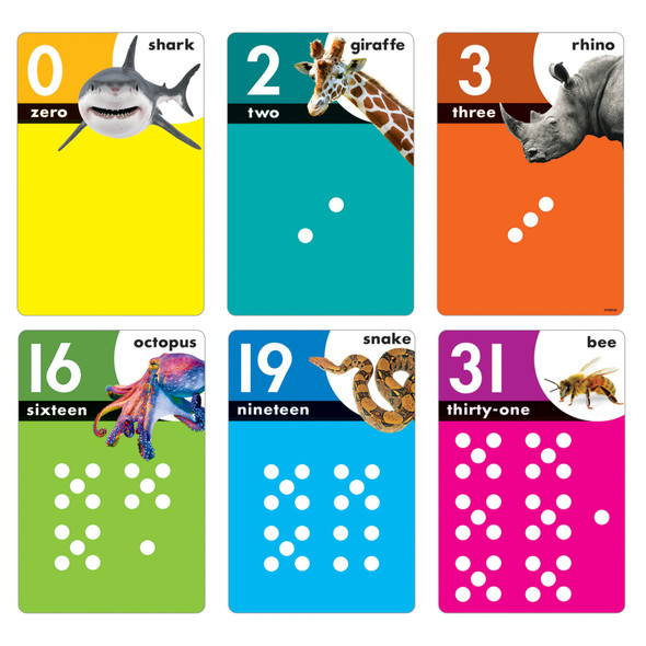 Animals Count 0-31 Learning Set - T-19008