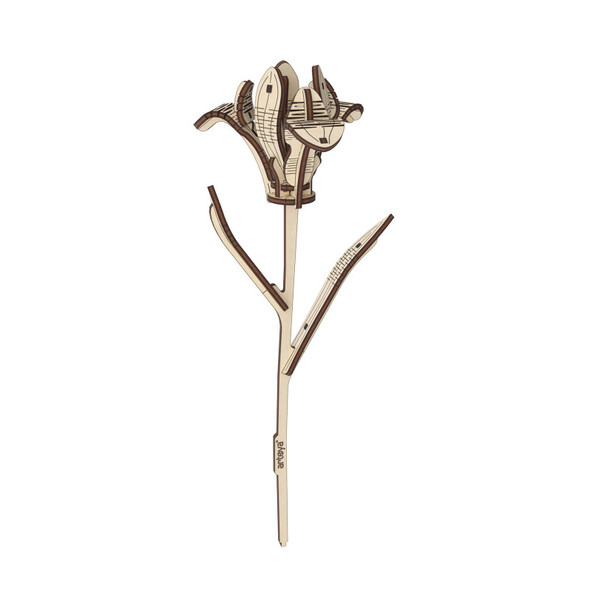 Iris Wooden Flower Model Kit, 22 Pieces
