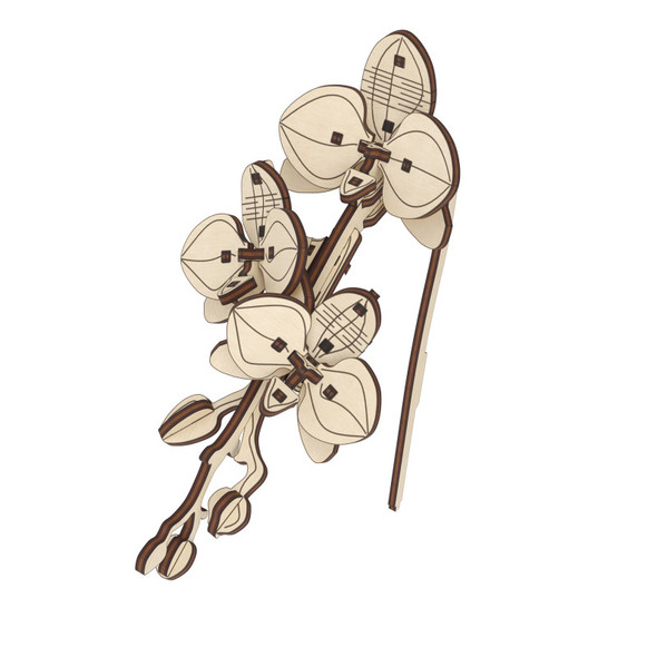 Orchid Wooden Flower Model Kit, 38 Pieces