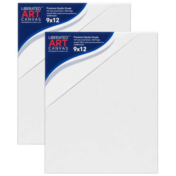 Stretched Canvas, 9 x 12 in, Pack of 2