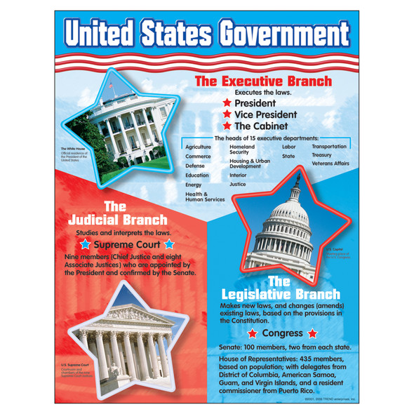 United States Government Learning Chart, 17" x 22"