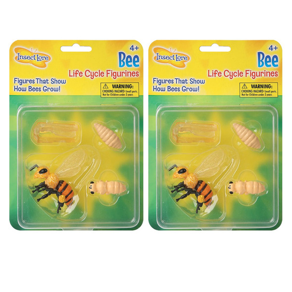 Honey Bee Life Cycle Stages Figurines, 4 Per Set, 2 Sets