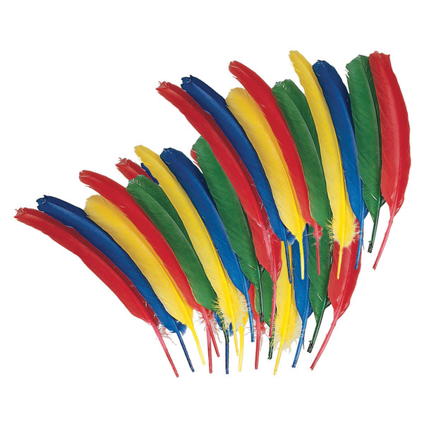 Quill Feathers, Assorted Colors, 24 Per Pack, 6 Packs