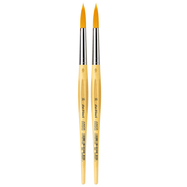 JUNIOR Synthetics Student Brush, Synthetic, Tempera, Round, Series 303, Size 16, Pack of 2 JUNIOR Synthetics Student Brush, Synthetic, Tempera, Round, Series 303, Size 16, Pack of 2