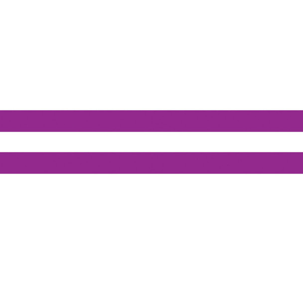 Mission to Explore Purple Classroom Border Trim, 24 Strips, 2-Pack