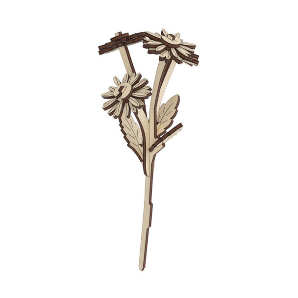 Daisy Wooden Flower Model Kit, 16 Pieces