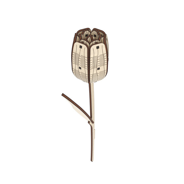 Tulip Wooden Flower Model Kit, 24 Pieces
