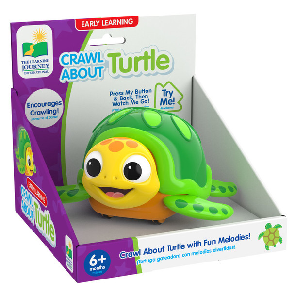 Crawl About Sea Turtle