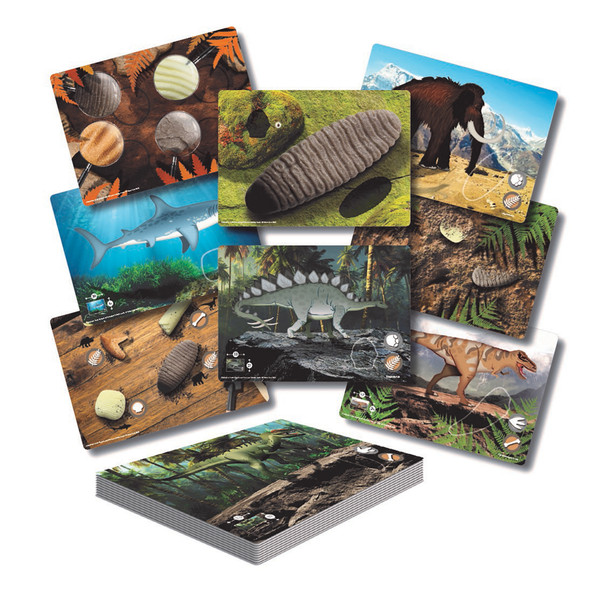Prehistoric Teeth  Explore and Discover Activity Cards, Set of 16