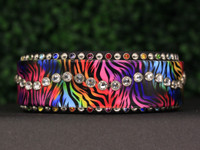 Rainbow Tiger UV 15-17