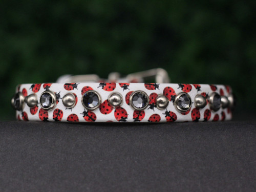 Ladybug Print 10.25