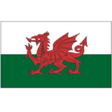 Wales 3ft x 5ft Nylon Flag