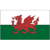 Wales 3ft x 5ft Printed Polyester Flag