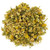 Egyptian Camomile Herbal Tea - Loose Leaf