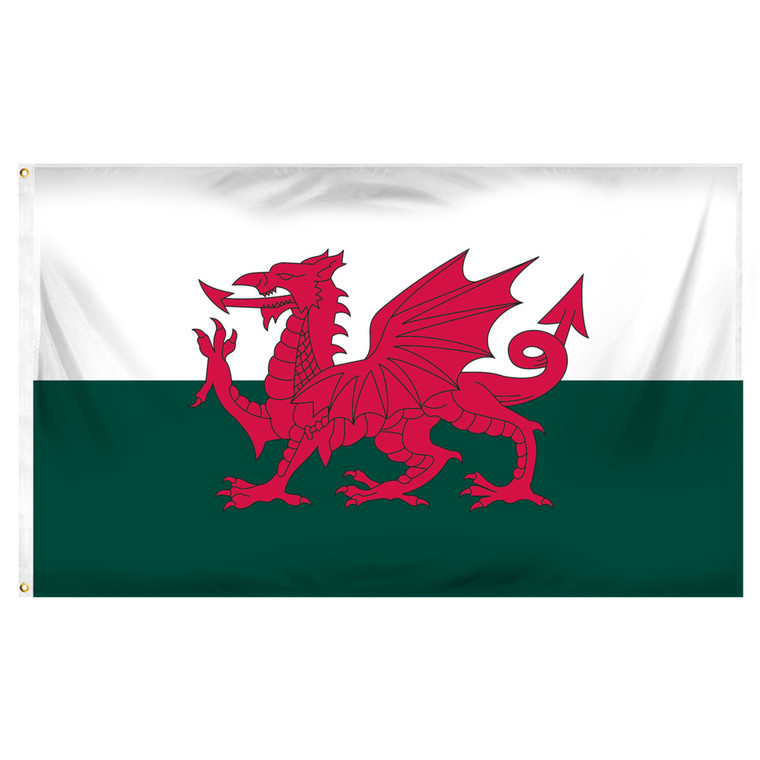 Wales 3ft x 5ft Printed Polyester Flag