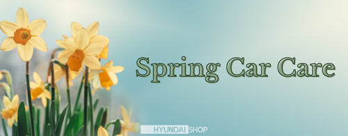 Spring Car Care Checklist 