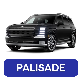 Hyundai Palisade Accessories