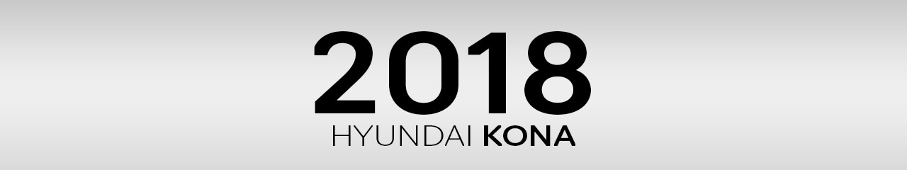 2018 Hyundai Kona Accessories and Parts