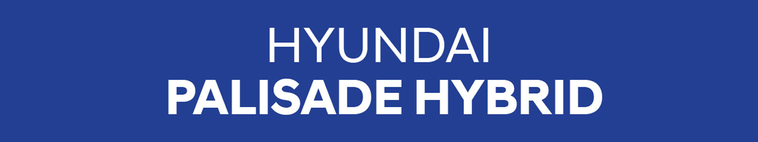 Hyundai Palisade Hybrid Accessories and Parts