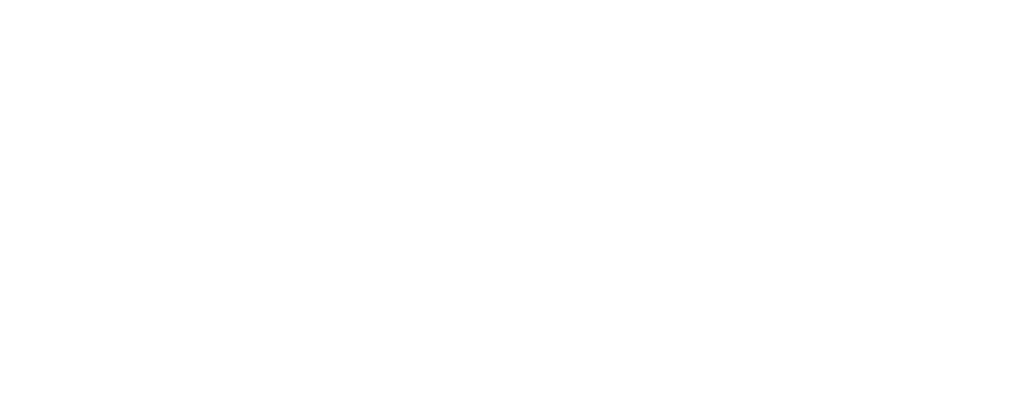 Hyundai Shop
