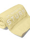BEACH TOWEL_2
