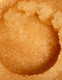 ANTI-AGING BODY SCRUB_3