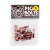 PIG Phillips Hardware Copper 1"