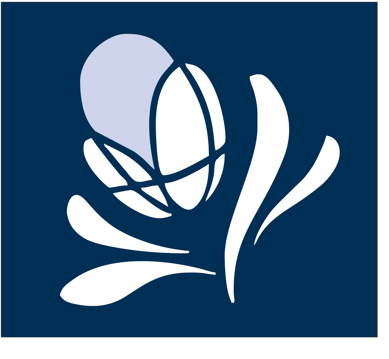 Banksia Park International High School Banksia Park International High School