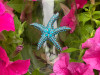 QJewels Stemless Wine Glass - BLUE STARFISH