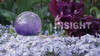 CoolSnowGlobes SERENITY Sphere PURPLE