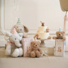 EB Pink Birthday Bear in a Gift Box EB Pink Birthday Bear in a Gift Box