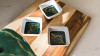 Lynn & Liana Resin Accented Set of 3 Dipping Bowls JADE