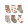 EB Dinosaur Socks 6 pk
