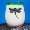 QJewels Stemless Wine Glass - DRAGONFLY